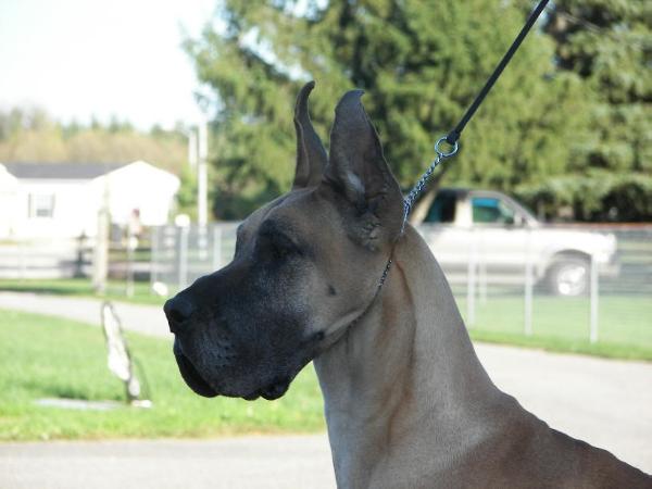 Moredane's The Beat Go's On