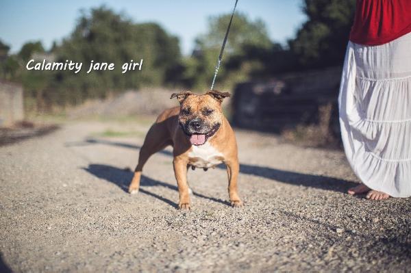 Calamity Jane Girl