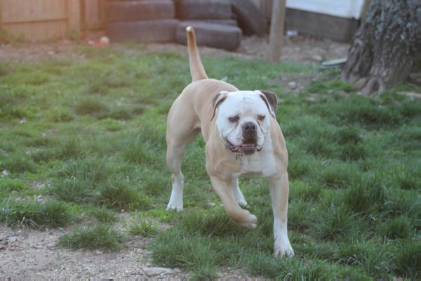 March's Oscar