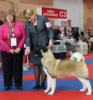 Melodor To Russia With Love