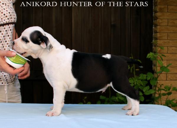 Anikord Hunter of the Stars