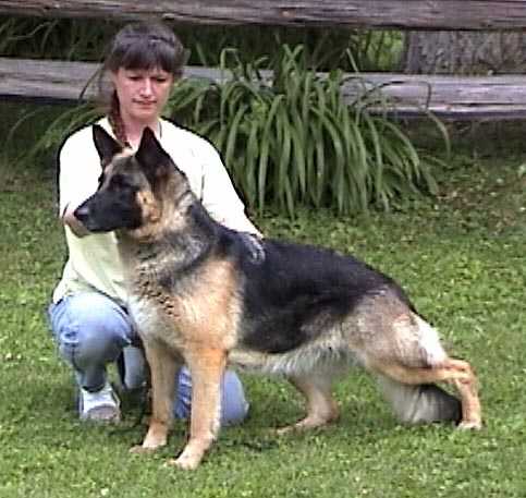 CH Silverhills Valley Girl