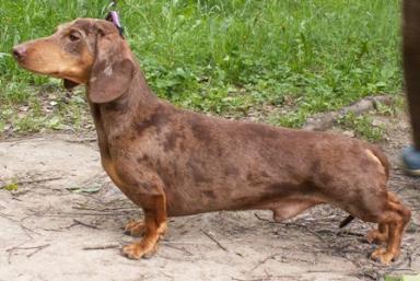 JEAN-MICHEL OT MARINY KURANOVOY