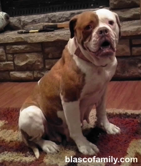 Walker's Cherry Bomb