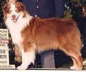 Windhills Fire Storm