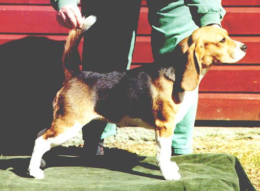 Daragoj Personal Agenda