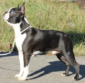 CH Kennedy breaking news at kait klassic