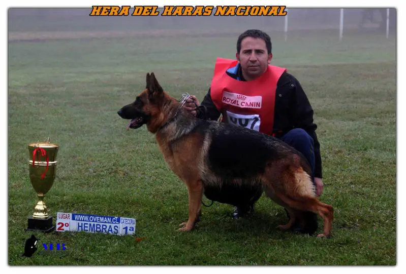 Hera del Haras Nacional