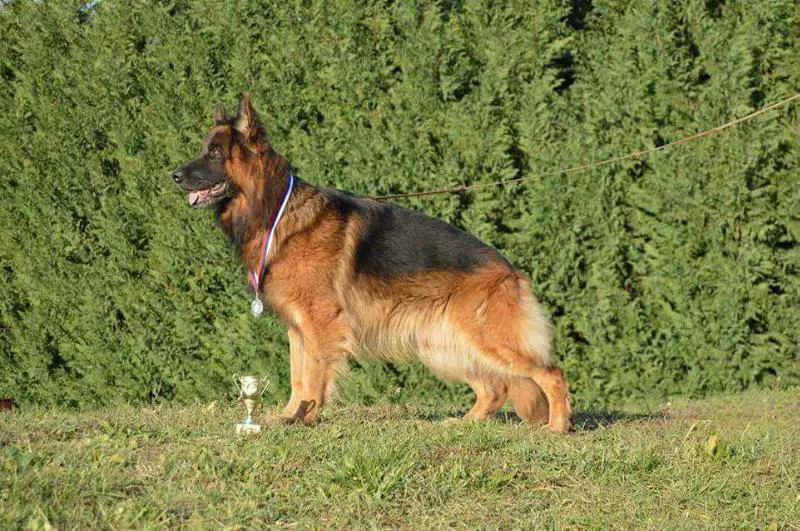 SG7 JHKL-LSTH BSZS 2014 Conan Rossburg