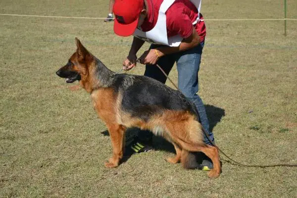 SG1 Aysha haus fonseca