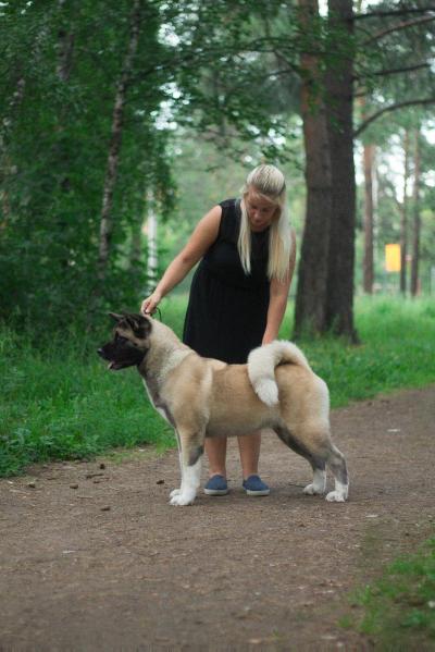 RUS CH, RUS JCH Grand Game Brilliant Star