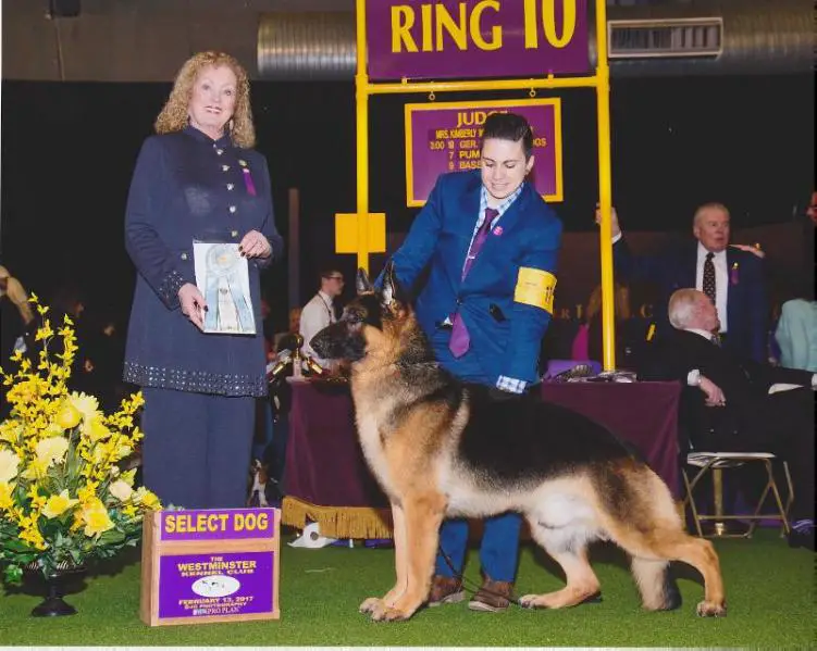 GCH J L Legacy's Gift Of The Magi Melchior