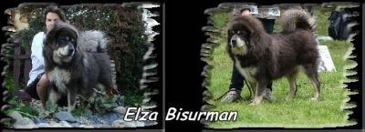 Elza Bisurman