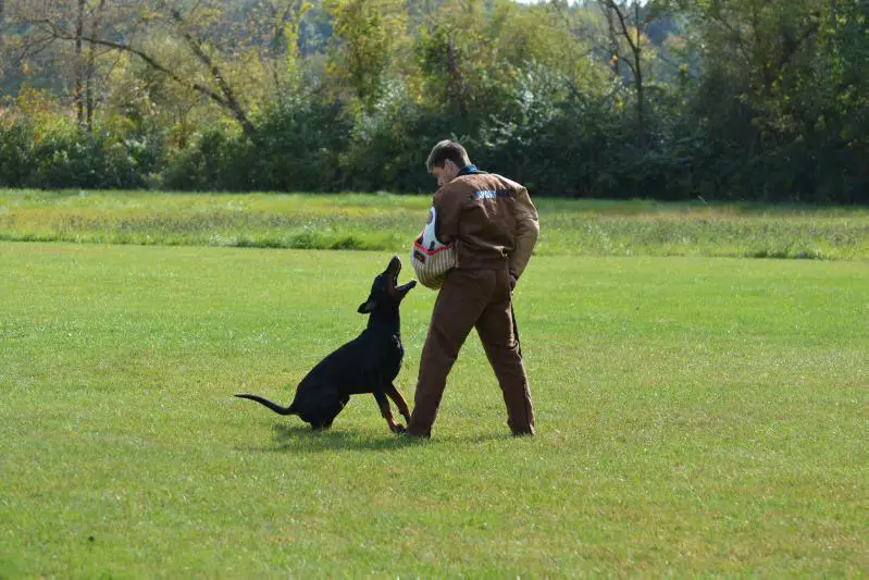 Caden Vom Hexenzauber