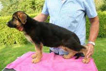 Hook von der Plassenburg