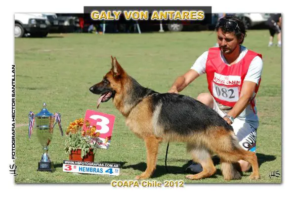 SG3 COAPA 2012 Galy Von Antares