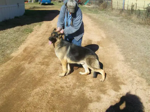Tahlequah Marybeck Buckwheat