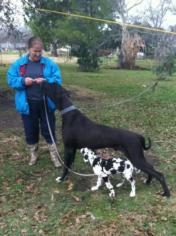 Brazo's River Bruiser