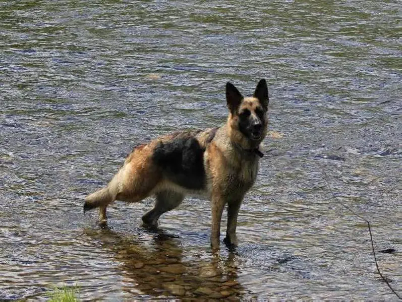 Lyloak's Every Breath You Take