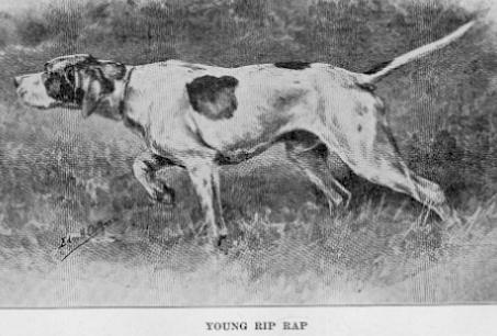 Young Rip Rap (1895)