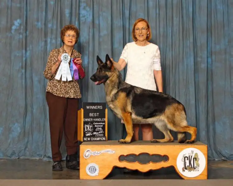 GCH CH Ranita's Song of the South