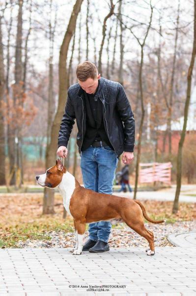 JCHRUS.BLR.CHRUS.BLR. CHRKF.Grand CHBLR Favorit Strike