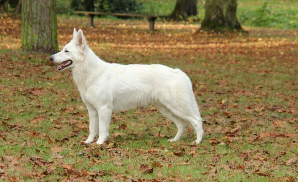 kyona ayomi for the joy of life