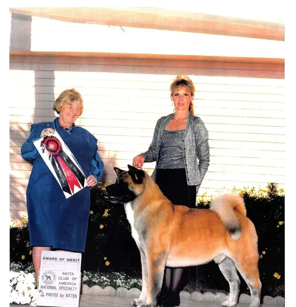 AKC/CAN CH Big Benz Sweet Justice-Doody