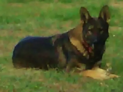 Chaos vom Kraftwerk ll