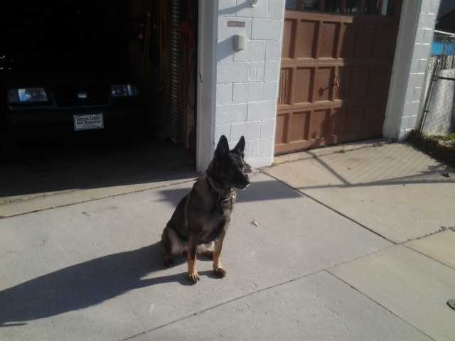 Aleksandra Duscha of Papertown