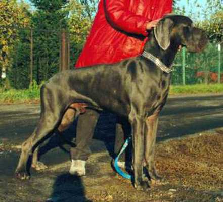 Galileo dei Monti del Keraton