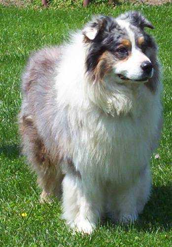 Mill Creeks Southern Thunder