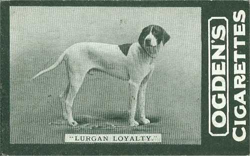 CH (ENG) Lurgan Loyalty