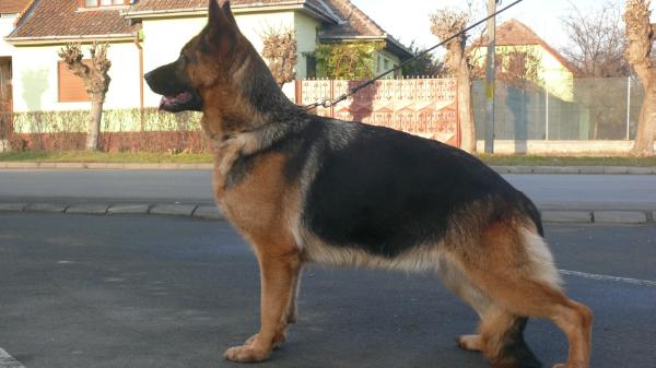 Dony von Empiere