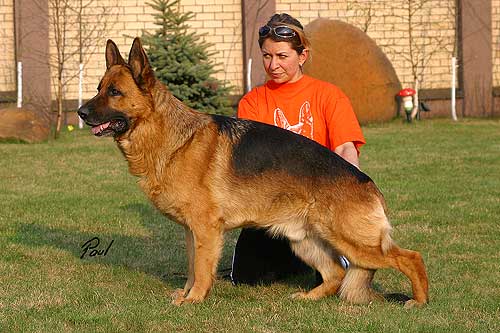 CH RUS Gudvin Zhuoll