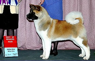 AKC CH Crown Royals Full Of Suspense