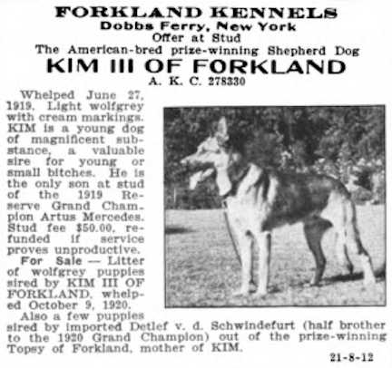 Kim III of Forkland