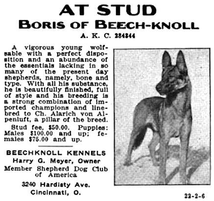 Boris of Beech-Knoll