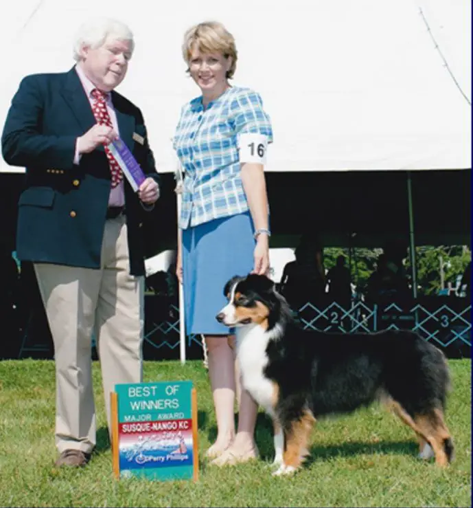 AKC/ASCA CH Hearthside Naughty Messages
