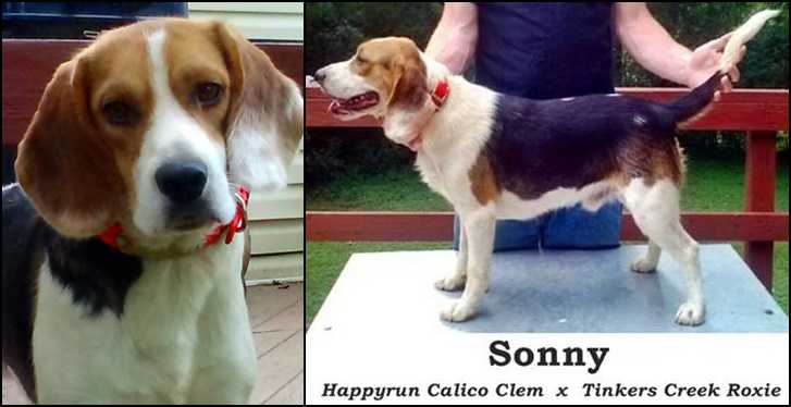 Perry's Sonny