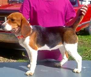 Jady's Good Gracious Gracie