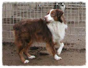 Valhalla’s Red Mon