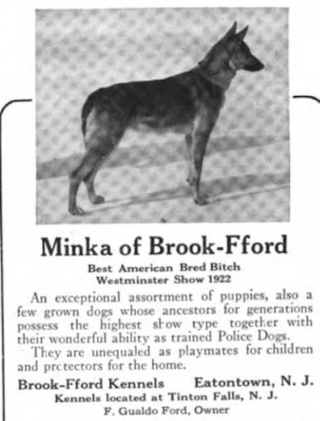 Minka of Brook-Fford