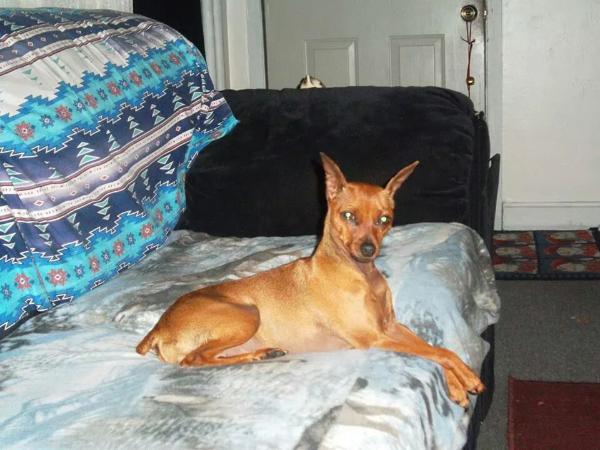 Mirage Rainbow In the Dark