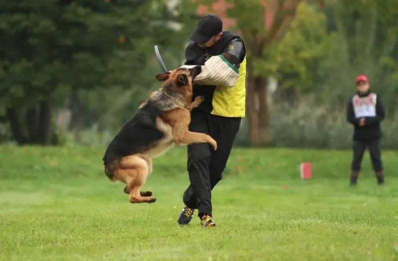 LVJCH; LVCH;V1 GUCCI Team LEGUND