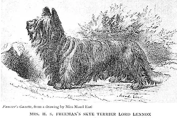 Lord Lennox (Mrs. H.S. Freeman's)