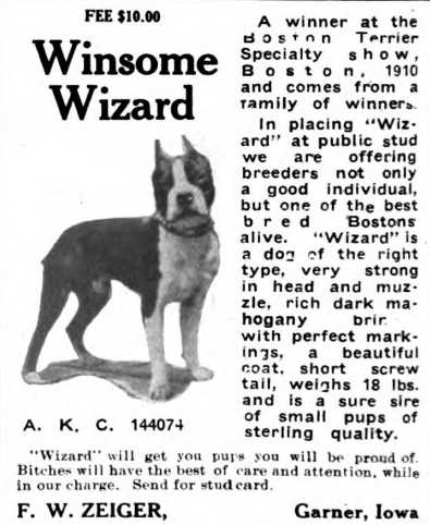 Winsome Wizard 144074