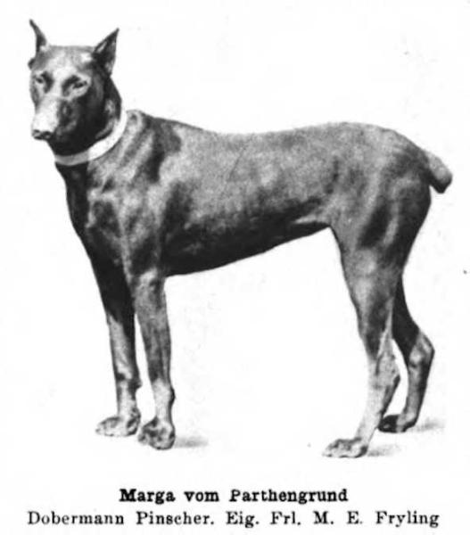 Marga vom Parthengrund