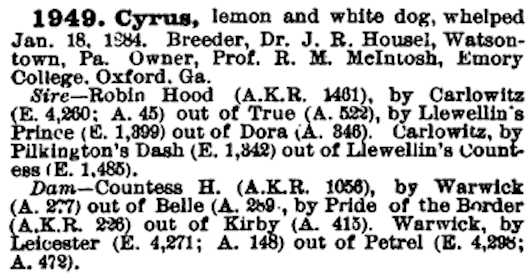 Cyrus (1884) AKR 001949