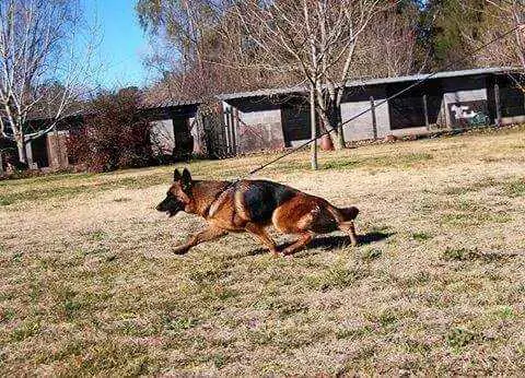 Lima von Furstemberg